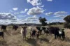 88 Old Wheeo Road, Taylors Flat, NSW 2586-Image