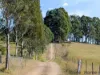 88 Patons Road, Moruya, NSW 2537-Image