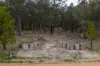 880 Lima East Road, Lima East, Vic 3673-Image