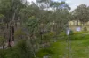 880 Lima East Road, Lima East, Vic 3673-Image
