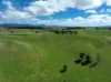881 Merragallan Road, Jaggan QLD 4885-Image