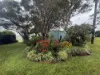 881 Merragallan Road, Jaggan QLD 4885-Image