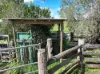 881 Merragallan Road, Jaggan QLD 4885-Image