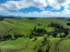 881 Merragallan Road, Jaggan QLD 4885-Image