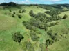 881 Merragallan Road, Jaggan QLD 4885-Image