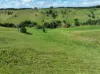 881 Merragallan Road, Jaggan QLD 4885-Image