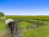 8855 Summerland Way, Leeville NSW 2470-Image