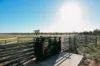 888 Dargal Road, Roma QLD 4455-Image