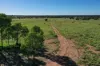 888 Dargal Road, Roma QLD 4455-Image