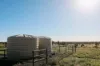 888 Dargal Road, Roma QLD 4455-Image