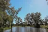 888 Dargal Road, Roma QLD 4455-Image