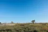 888 Dargal Road, Roma QLD 4455-Image