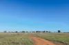 888 Dargal Road, Roma QLD 4455-Image