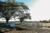888 Dargal Road, Roma QLD 4455-Image