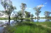 888 Dargal Road, Roma QLD 4455-Image