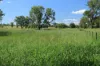 888 Dargal Road, Roma QLD 4455-Image