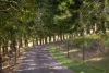 89 Dawson Creek Road, Highvale QLD 4520-Image