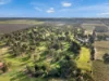 89 Playford Road, Sunlands, SA 5322-Image