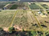 89 Playford Road, Sunlands, SA 5322-Image