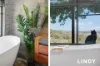 89 Tangory Rise, Glendon Brook, NSW 2330-Image