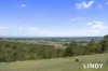 89 Tangory Rise, Glendon Brook, NSW 2330-Image