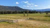 890 Moonbi Gap Road, Tamworth, NSW 2340