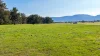 890 Moonbi Gap Road, Tamworth, NSW 2340-Image