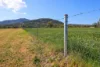 890 Moonbi Gap Road, Tamworth, NSW 2340-Image
