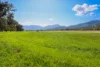 890 Moonbi Gap Road, Tamworth, NSW 2340-Image