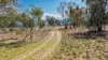 890 Moonbi Gap Road, Tamworth, NSW 2340-Image