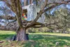 890 Moonbi Gap Road, Tamworth, NSW 2340-Image