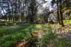 890 Moonbi Gap Road, Tamworth, NSW 2340-Image