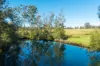 896 Pembrooke Rd, Pembrooke, NSW 2446-Image