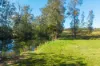 896 Pembrooke Rd, Pembrooke, NSW 2446-Image