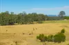 896 Pembrooke Rd, Pembrooke, NSW 2446-Image