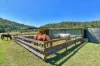 898 Yango Creek Road, Laguna, NSW 2325-Image
