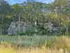 898 Yango Creek Road, Laguna, NSW 2325-Image