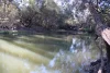 9 ,10, 11 & 217 ROMA TAROOM ROAD, Taroom, Qld 4420-Image