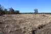 9 ,10, 11 & 217 ROMA TAROOM ROAD, Taroom, Qld 4420-Image