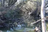 9 ,10, 11 & 217 ROMA TAROOM ROAD, Taroom, Qld 4420-Image