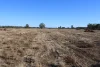 9 ,10, 11 & 217 ROMA TAROOM ROAD, Taroom, Qld 4420-Image