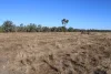 9 ,10, 11 & 217 ROMA TAROOM ROAD, Taroom, Qld 4420-Image