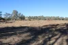 9 ,10, 11 & 217 ROMA TAROOM ROAD, Taroom, Qld 4420-Image