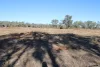 9 ,10, 11 & 217 ROMA TAROOM ROAD, Taroom, Qld 4420-Image