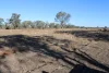 9 ,10, 11 & 217 ROMA TAROOM ROAD, Taroom, Qld 4420-Image