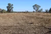 9 ,10, 11 & 217 ROMA TAROOM ROAD, Taroom, Qld 4420-Image