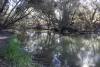 9 ,10, 11 & 217 ROMA TAROOM ROAD, Taroom, Qld 4420-Image