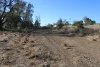 9 ,10, 11 & 217 ROMA TAROOM ROAD, Taroom, Qld 4420-Image