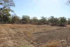 9 ,10, 11 & 217 ROMA TAROOM ROAD, Taroom, Qld 4420-Image