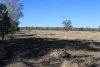 9 ,10, 11 & 217 ROMA TAROOM ROAD, Taroom, Qld 4420-Image